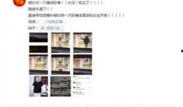 网曝黑料门 热门大瓜热心的朝阳爆料,网曝黑料门事件，热门大瓜揭秘